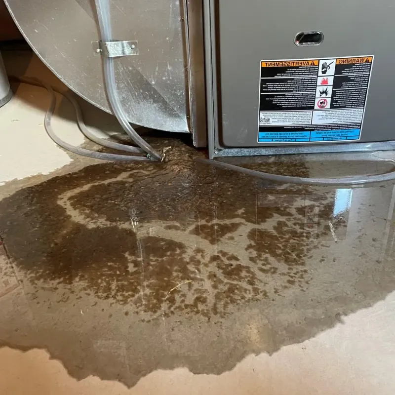 Pipe Burst and Leak Restoration in Seneca Knolls, NY